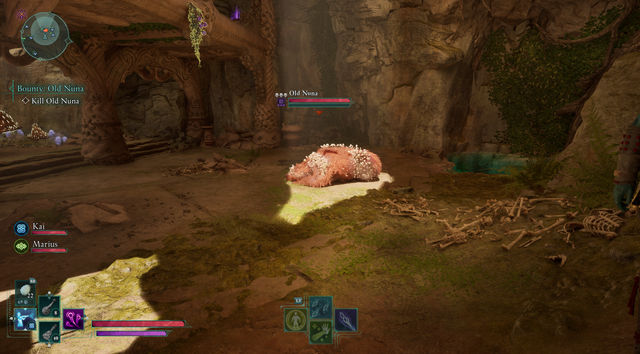 Avowed. Дополнительные задания