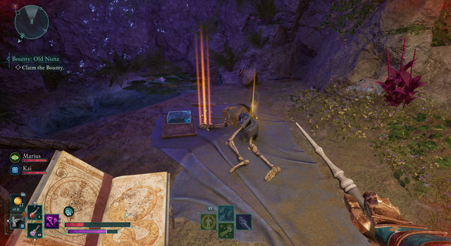 Avowed. Дополнительные задания