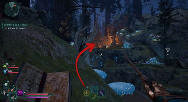 Avowed. Дополнительные задания