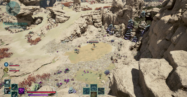 Avowed. Дополнительные задания