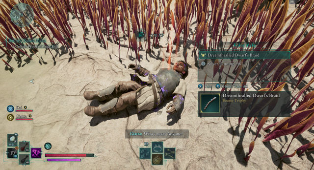 Avowed. Дополнительные задания