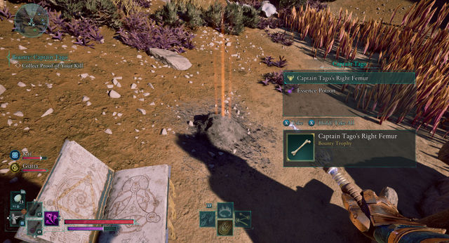 Avowed. Дополнительные задания