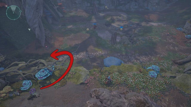 Avowed. Прохождение