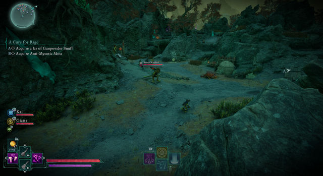 Avowed. Побочные задания