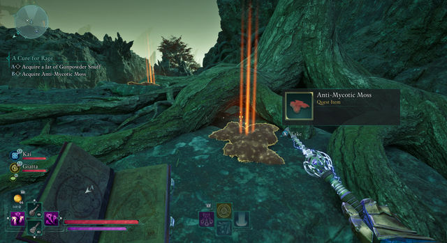 Avowed. Побочные задания