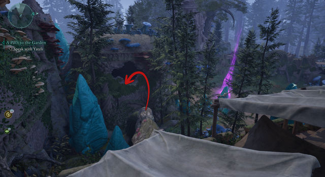 Avowed. Побочные задания