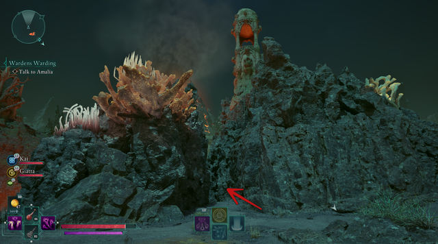 Avowed. Побочные задания