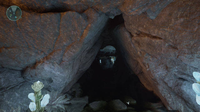 Avowed. Прохождение