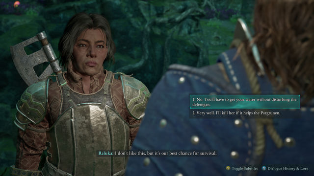 Avowed. Побочные задания