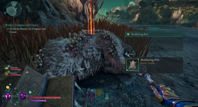 Avowed. Побочные задания