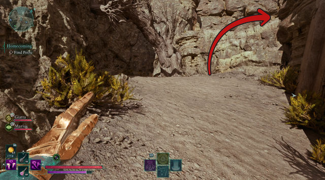 Avowed. Дополнительные задания