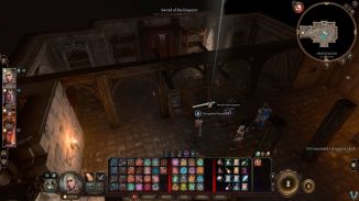 Baldurs Gate 3. Дополнительные задания