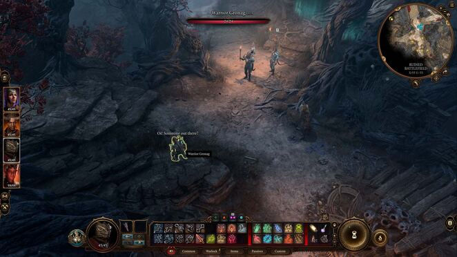 балдурс гейт 3. Прохождение