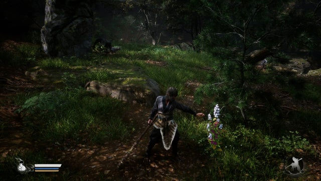 Black Myth Wukong. Прохождение