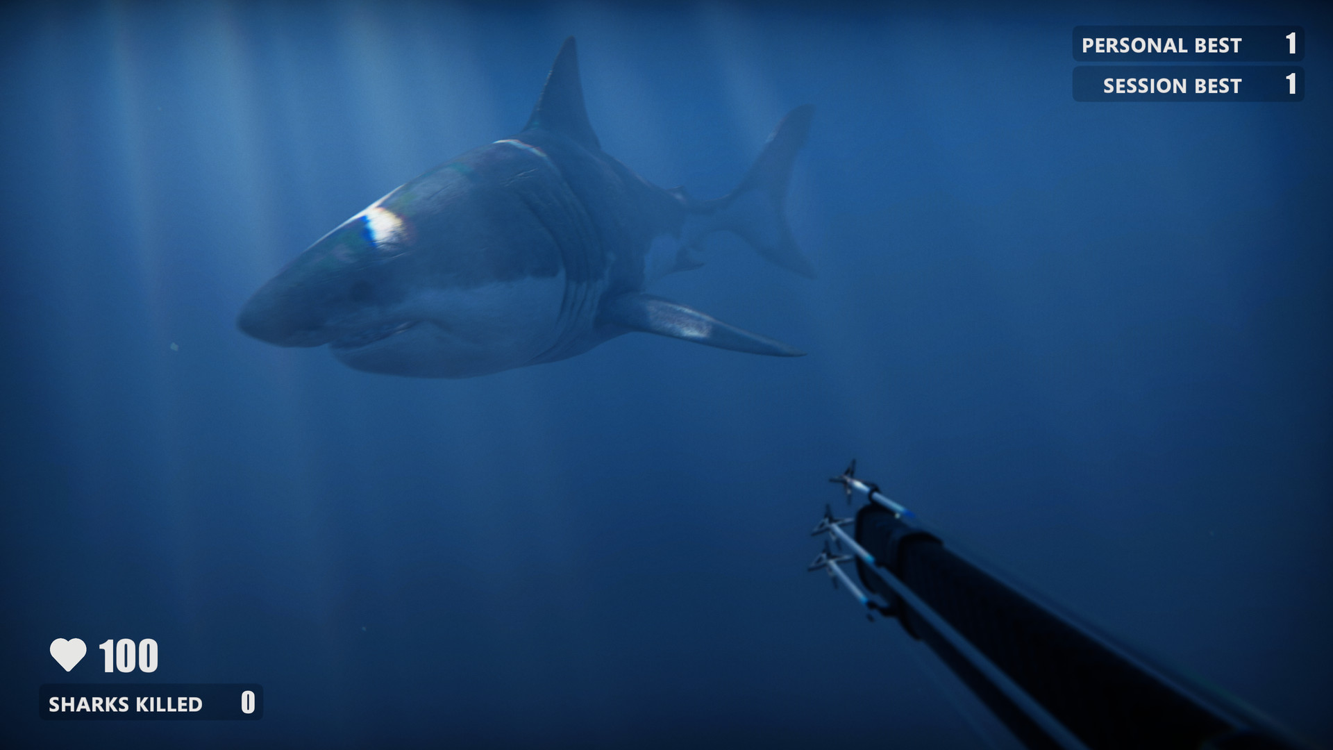 Gta 5 sharks in the water фото 5