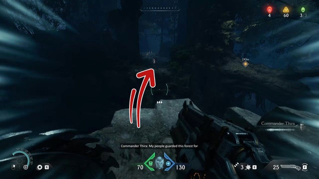 Doom The Dark Ages. Бездонный лес