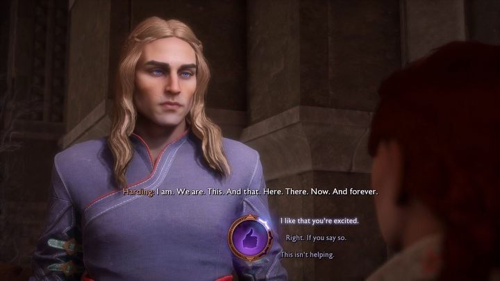 Dragon Age The Veilguard. Советы