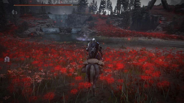 Elden Ring Shadow of the Erdtree. Форма Плакальщика