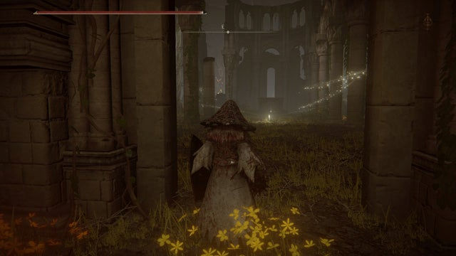 Elden Ring Shadow of the Erdtree. Прохождение