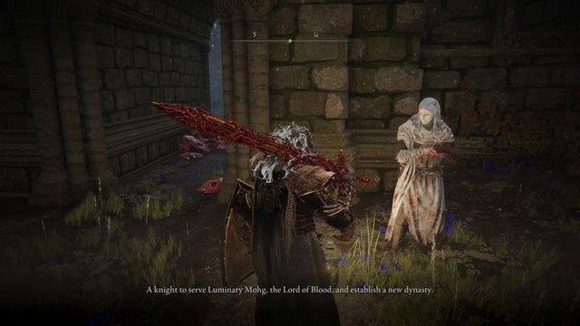 Elden Ring Shadow of the Erdtree. Дополнение