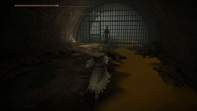 Elden Ring Shadow of the Erdtree. Прохождение