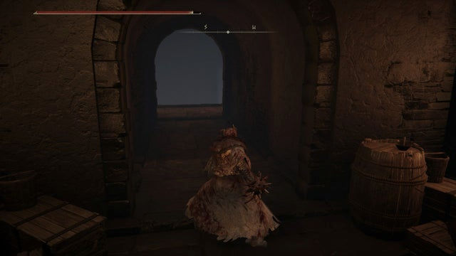 Elden Ring Shadow of the Erdtree. Прохождение