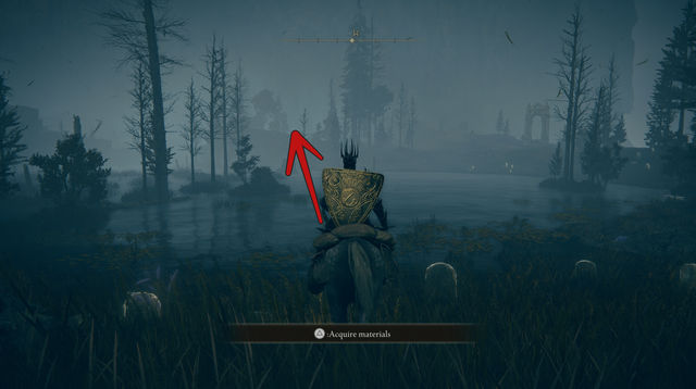 Elden Ring Shadow of the Erdtree. Подземелья