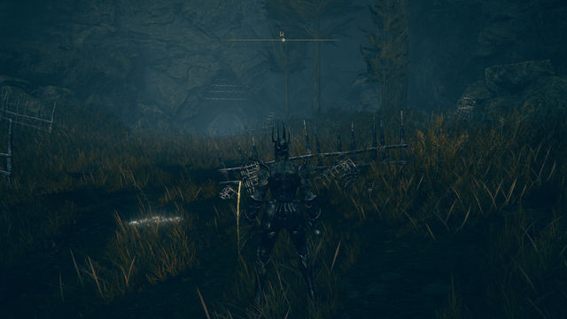 Elden Ring Shadow of the Erdtree. Подземелья