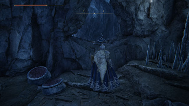 Elden Ring Shadow of the Erdtree. Подземелья