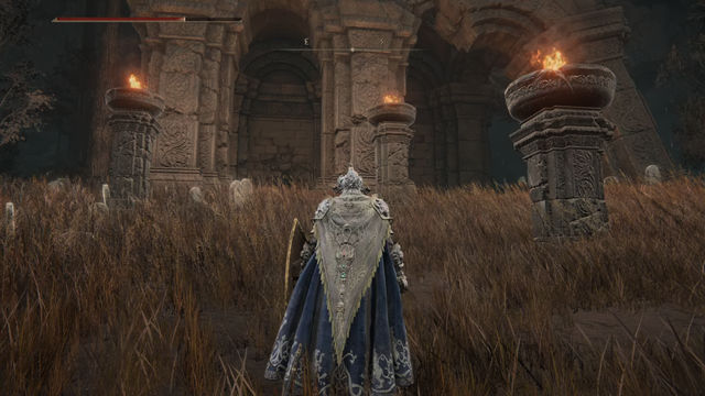 Elden Ring Shadow of the Erdtree. Подземелья