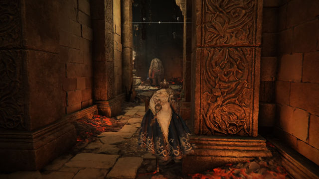 Elden Ring Shadow of the Erdtree. Подземелья