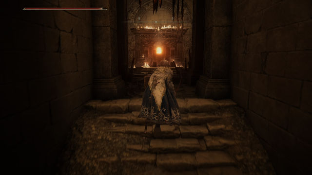 Elden Ring Shadow of the Erdtree. Подземелья