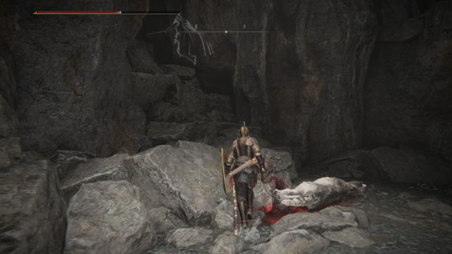 Elden Ring Shadow of the Erdtree. Подземелья