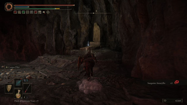 Elden Ring Shadow of the Erdtree. Подземелья