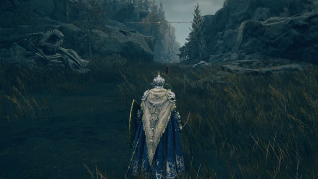 Elden Ring Shadow of the Erdtree. Подземелья