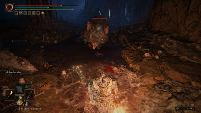 Elden Ring Shadow of the Erdtree. Подземелья