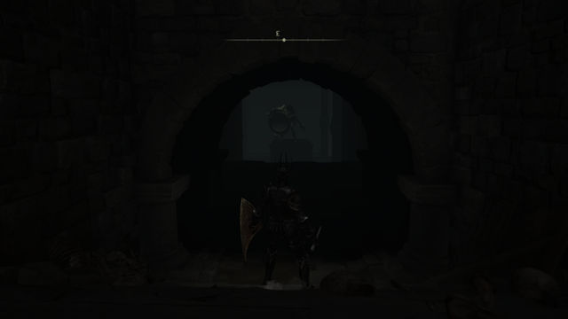 Elden Ring Shadow of the Erdtree. Подземелья