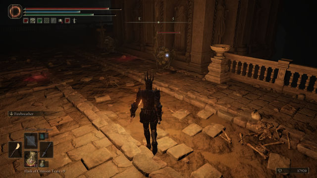 Elden Ring Shadow of the Erdtree. Подземелья