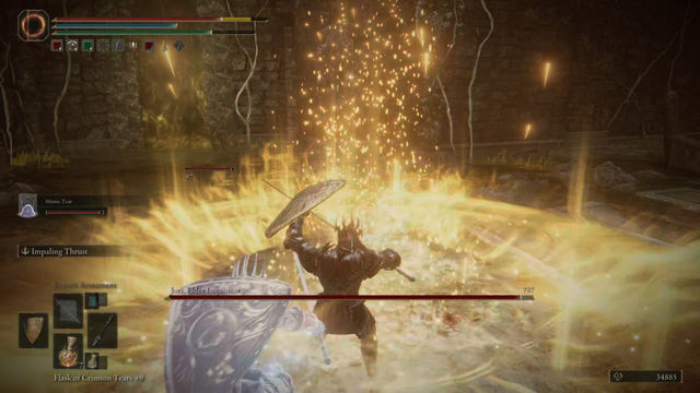 Elden Ring Shadow of the Erdtree. Подземелья