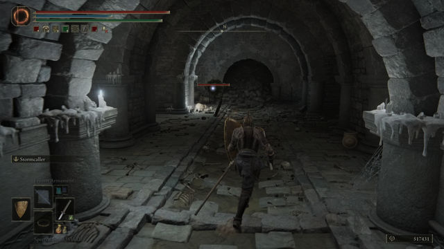 Elden Ring Shadow of the Erdtree. Подземелья