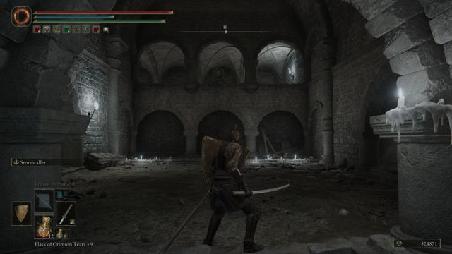 Elden Ring Shadow of the Erdtree. Подземелья