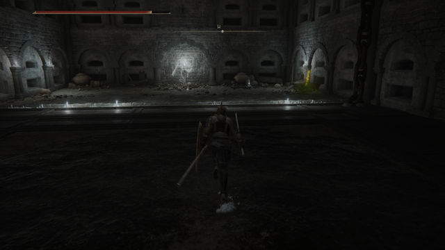 Elden Ring Shadow of the Erdtree. Подземелья