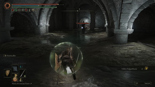 Elden Ring Shadow of the Erdtree. Подземелья