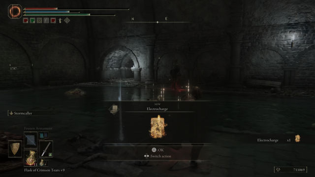 Elden Ring Shadow of the Erdtree. Подземелья