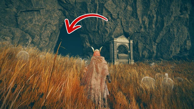 Elden Ring Shadow of the Erdtree. Картины