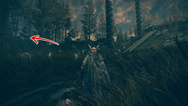 Elden Ring Shadow of the Erdtree. Картины