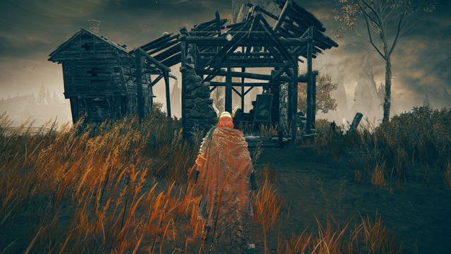 Elden Ring Shadow of the Erdtree. Картины