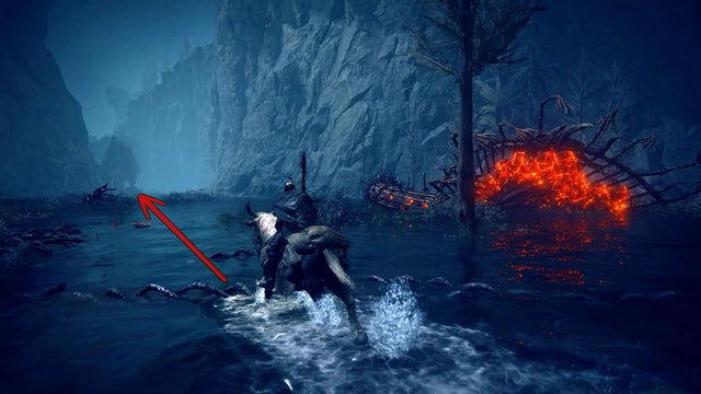 Elden Ring Shadow of the Erdtree. Бездонный лес