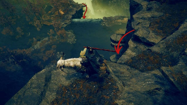 Elden Ring Shadow of the Erdtree. Бездонный лес