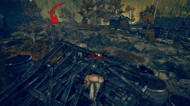 Elden Ring Shadow of the Erdtree. Скадувью